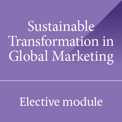 Level 7 Module Box Sustainable Transformation In Global Marketing