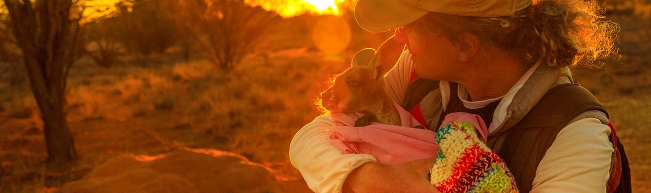 Examining the brand response to Australia’s bushfire crisis